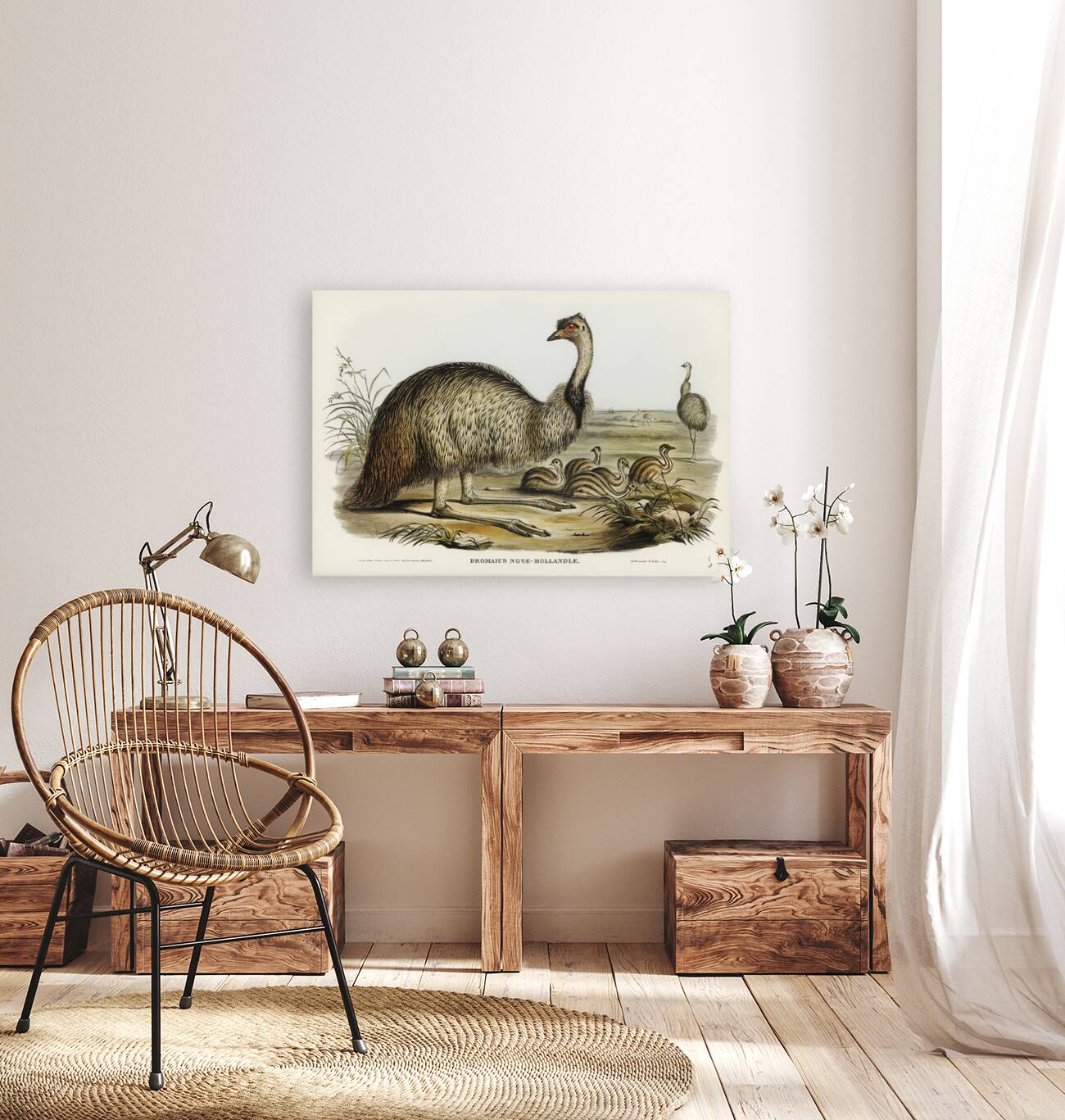 The Emu Dromaius Novae-Hollandiae illustrated by Elizabeth Gould 1804–1841 for John Gould’s 1804-1881 Birds of Australia  Reproduction