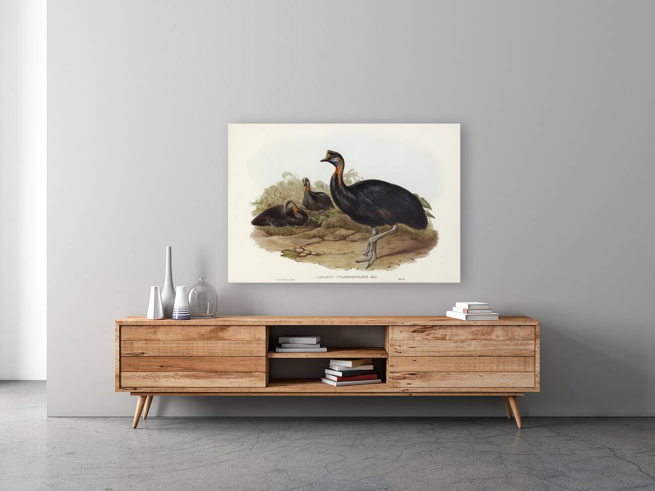 One-carunculated Cassowary Casuarius uniappendiculatus illustrated by Elizabeth Gould 1804–1841 for John Gould’s 1804-1881 Birds of Australia  Reproduction