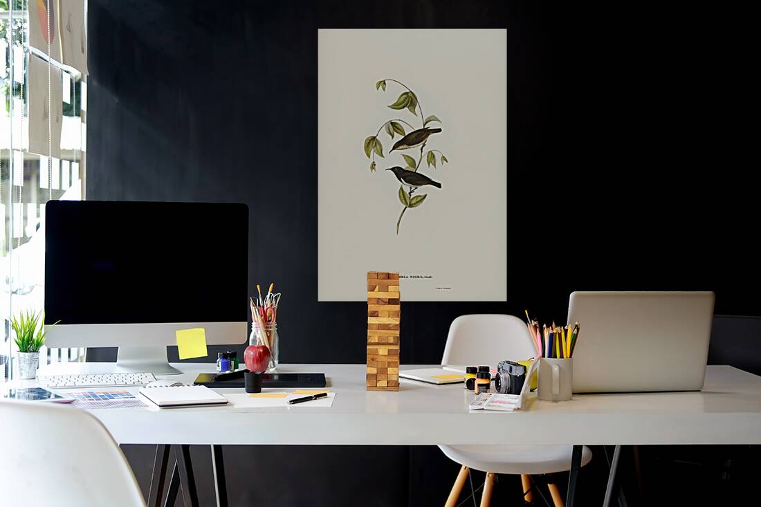 Black Honey-eater Myzomela nigra illustrated by Elizabeth Gould 1804–1841 for John Gould’s 1804-1881 Birds of Australia  Reproduction