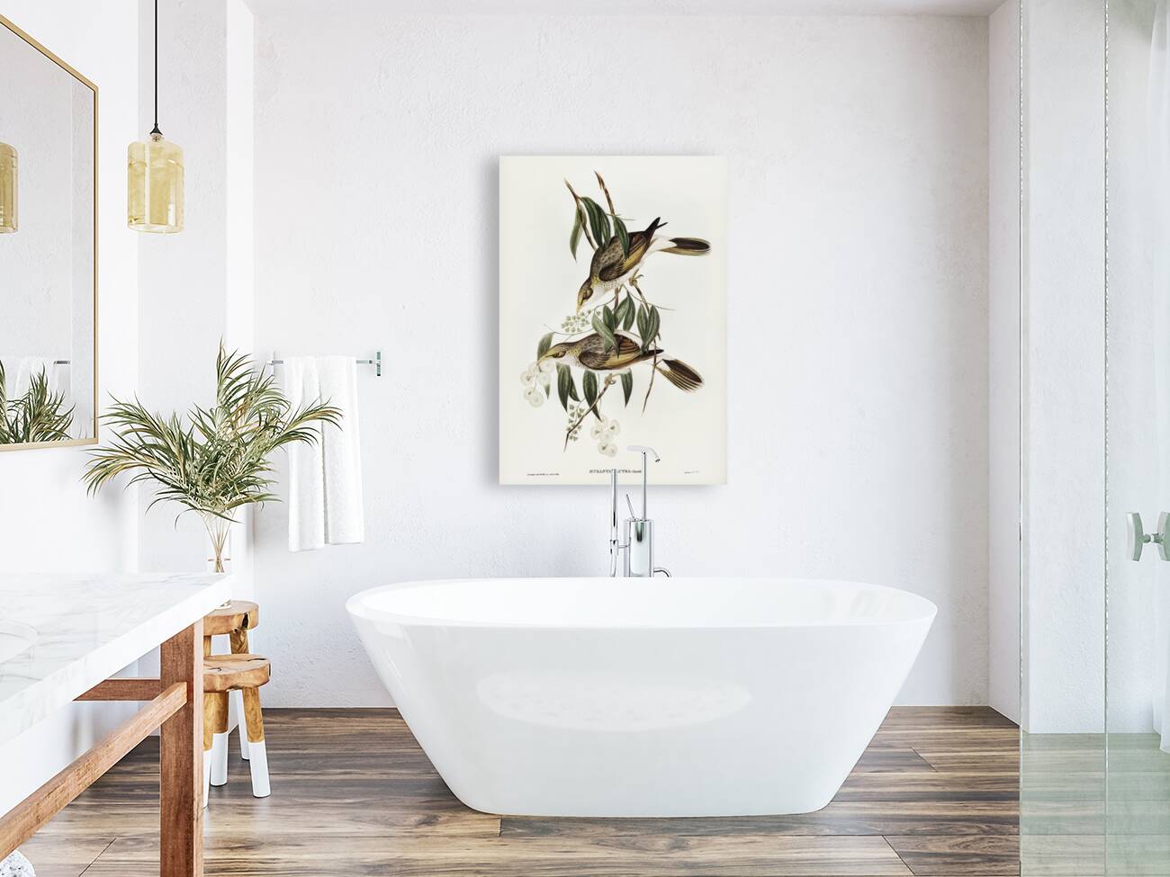 Luteous Honey-eater Myzantha lutea illustrated by Elizabeth Gould 1804–1841 for John Gould’s 1804-1881 Birds of Australia  Reproduction