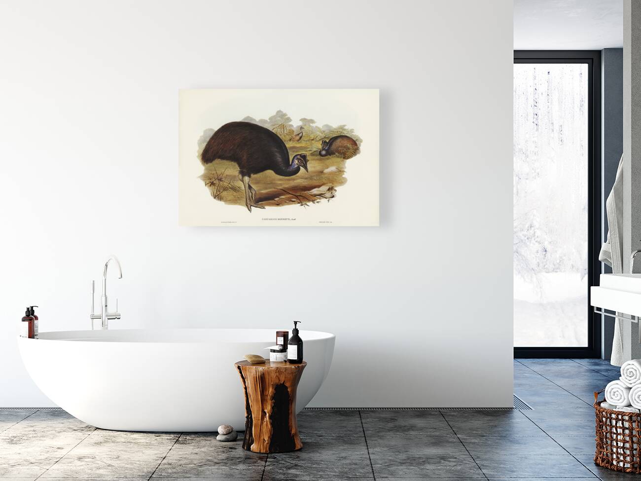 Chestnut-breasted Cuckoo Cacomantis castaneiventris illustrated by Elizabeth Gould 1804–1841 for John Gould’s 1804-1881 Birds of Australia  Reproduction