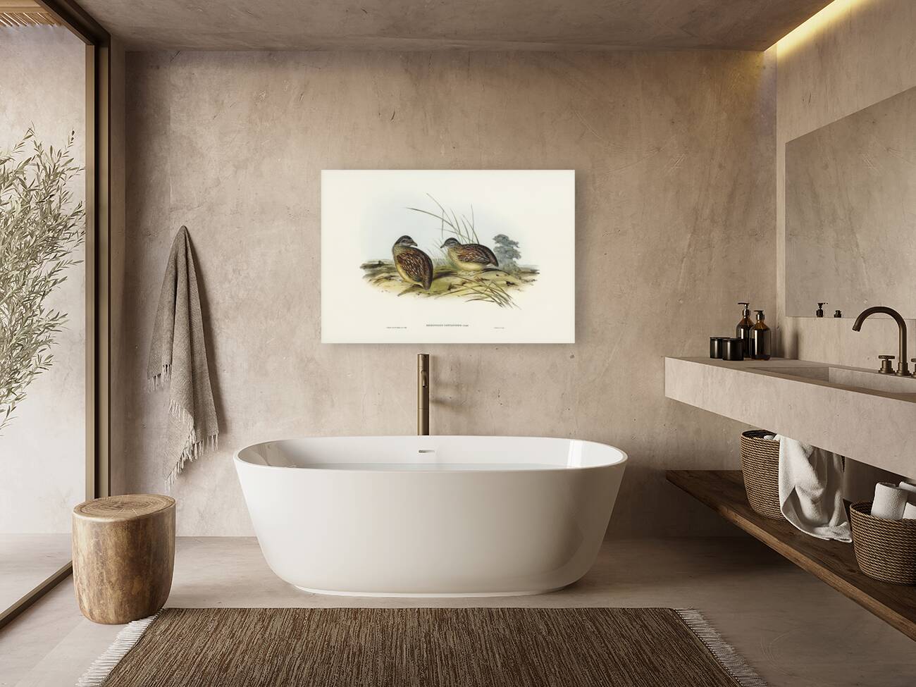 Chestnut-backed Hemipode Hemipodius castanotus illustrated by Elizabeth Gould 1804–1841 for John Gould’s 1804-1881 Birds of Australia  Reproduction