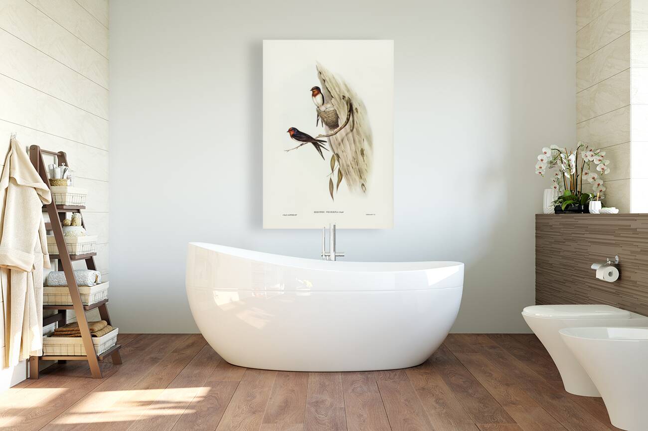 Welcome Swallow Hirundo neoxena illustrated by Elizabeth Gould 1804–1841 for John Gould’s 1804-1881 Birds of Australia  Reproduction