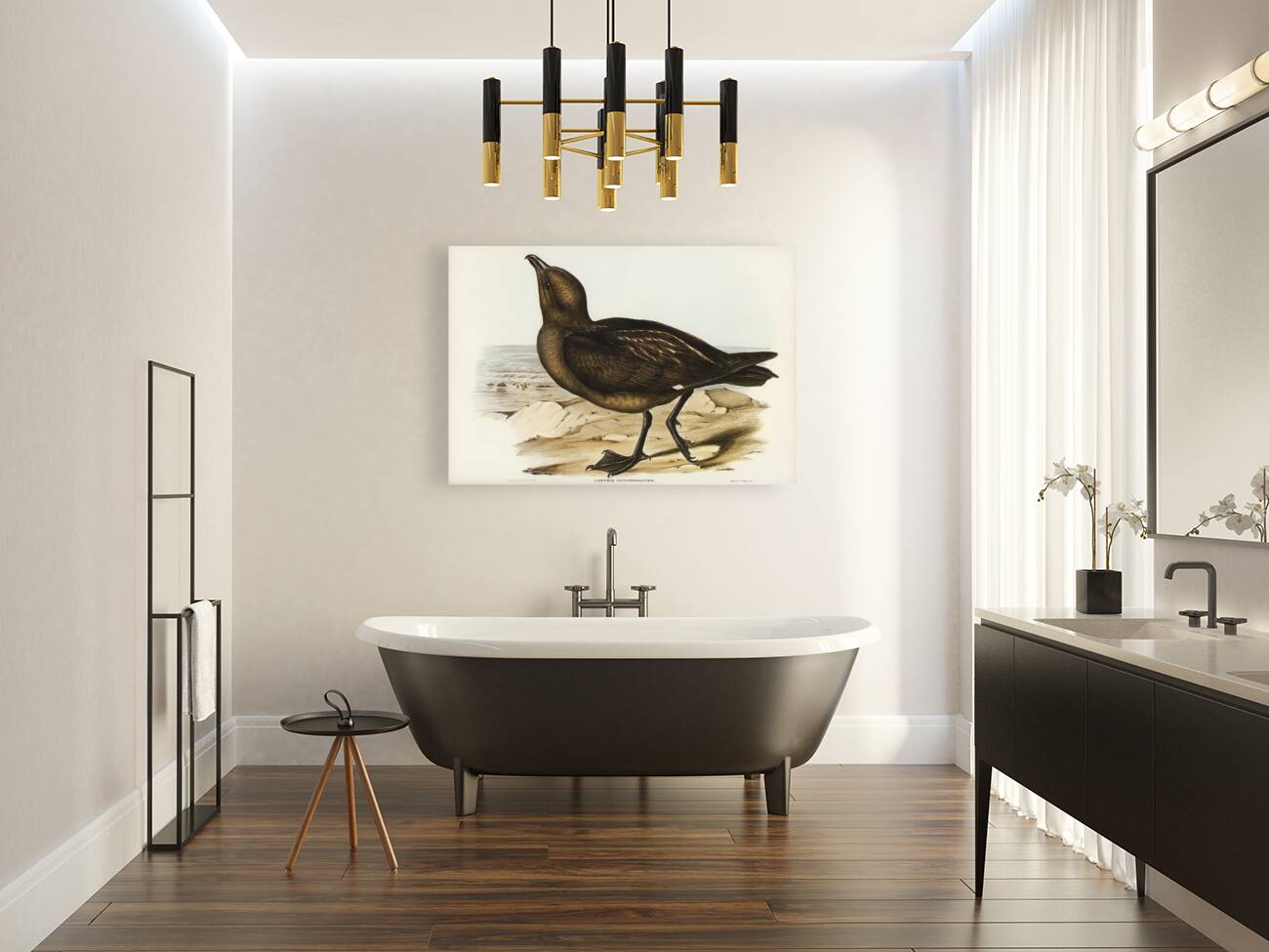 Skua Gull Lestris Catarractes illustrated by Elizabeth Gould 1804–1841 for John Gould’s 1804-1881 Birds of Australia  Reproduction