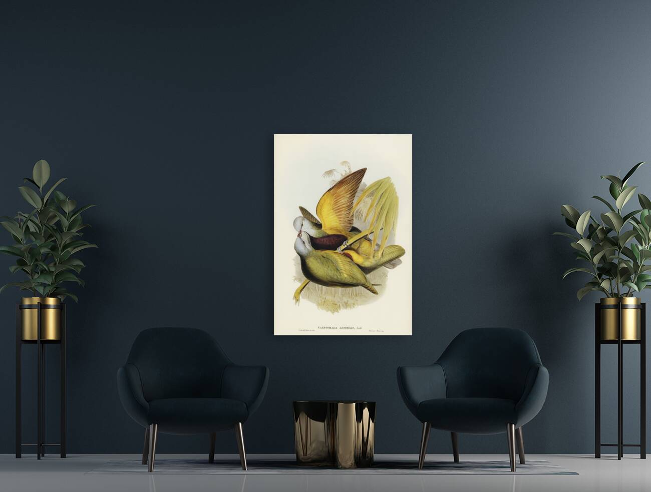 Spotless Gallinule Porzana immaculata illustrated by Elizabeth Gould 1804–1841 for John Gould’s 1804-1881 Birds of Australia  Reproduction