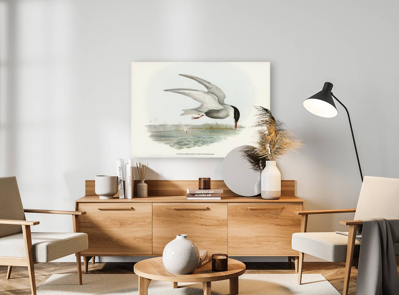 Marsh Tern Hydrochelidon fluviatilis illustrated by Elizabeth Gould 1804–1841 for John Gould’s 1804-1881 Birds of Australia  Reproduction