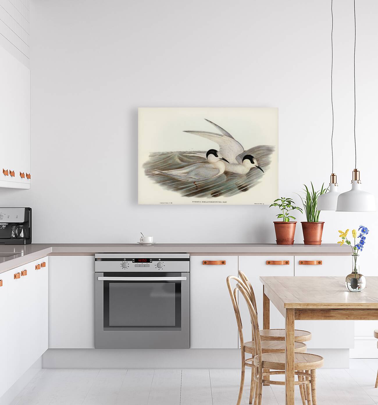 Black-billed Tern Sterna melanorhyncha illustrated by Elizabeth Gould 1804–1841 for John Gould’s 1804-1881 Birds of Australia  Reproduction