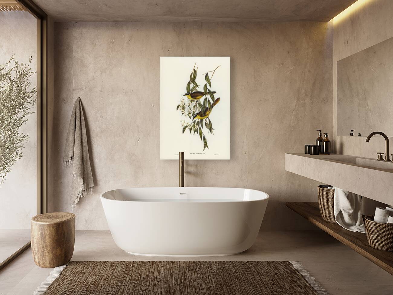 Wattle-cheeked Honey-eater Ptilotis cratitius illustrated by Elizabeth Gould 1804–1841 for John Gould’s 1804-1881 Birds of Australia  Reproduction