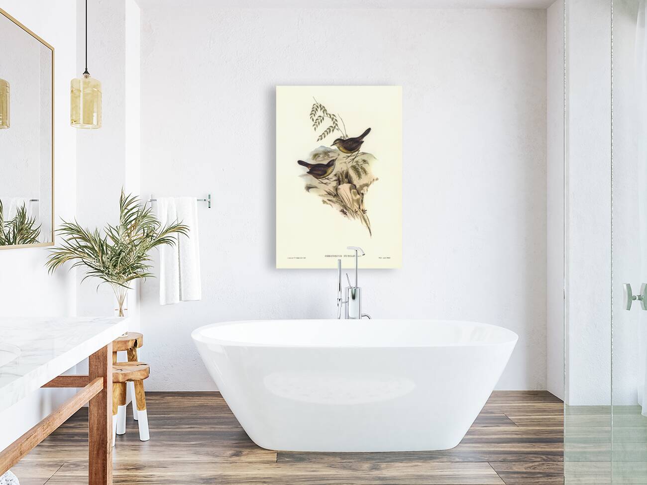 Sombre-coloured Sericornis Sericornis humilis illustrated by Elizabeth Gould 1804–1841 for John Gould’s 1804-1881 Birds of Australia  Reproduction