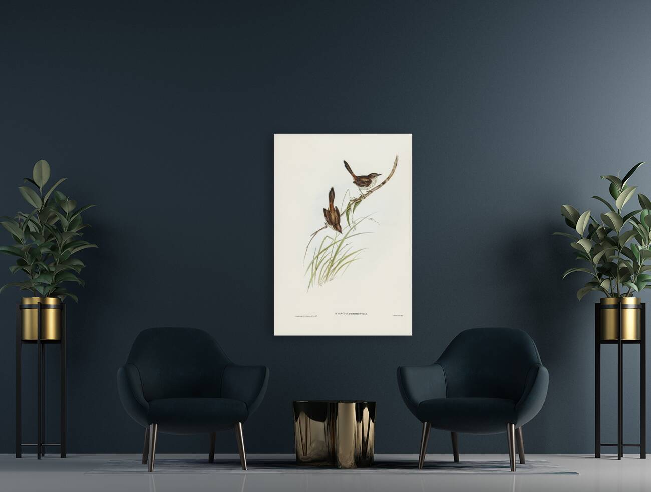 Red-rumped Wren ylacola pyrrhopygia illustrated by Elizabeth Gould 1804–1841 for John Gould’s 1804-1881 Birds of Australia  Reproduction