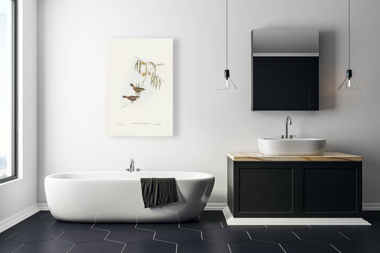 Chestnut-rumped Acanthiza Acanthiza uropygialis illustrated by Elizabeth Gould 1804–1841 for John Gould’s 1804-1881 Birds of Australia  Reproduction