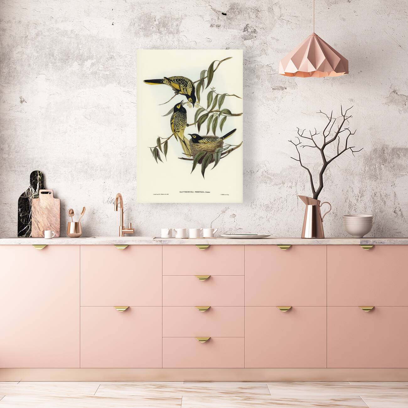 Warty-faced Honey-eater Zanthomyza Phrygia illustrated by Elizabeth Gould 1804–1841 for John Gould’s 1804-1881 Birds of Australia  Reproduction