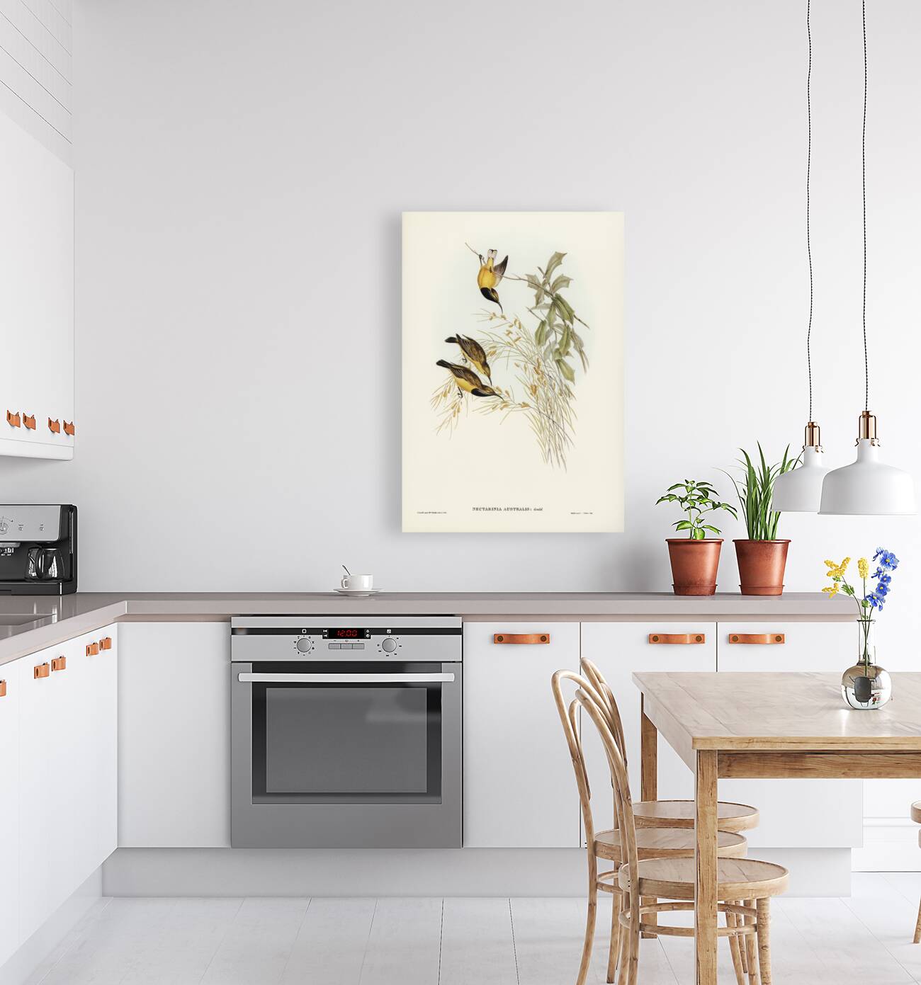 Australian Sun-bird Nectarinia australis illustrated by Elizabeth Gould 1804–1841 for John Gould’s 1804-1881 Birds of Australia  Reproduction