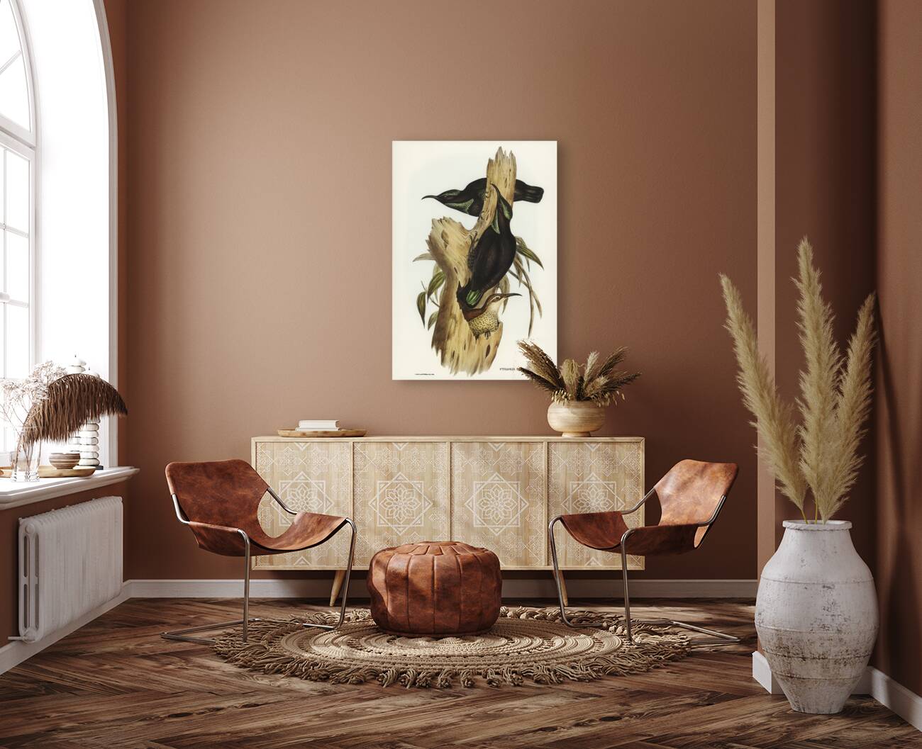 Rifle Bird Ptiloris paradiseus illustrated by Elizabeth Gould 1804–1841 for John Gould’s 1804-1881 Birds of Australia  Reproduction