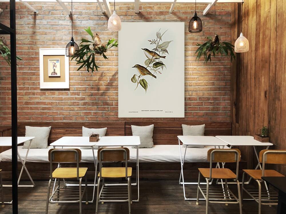 White-breasted Zosterops Zosterops albogularis illustrated by Elizabeth Gould 1804–1841 for John Gould’s 1804-1881 Birds of Australia  Reproduction