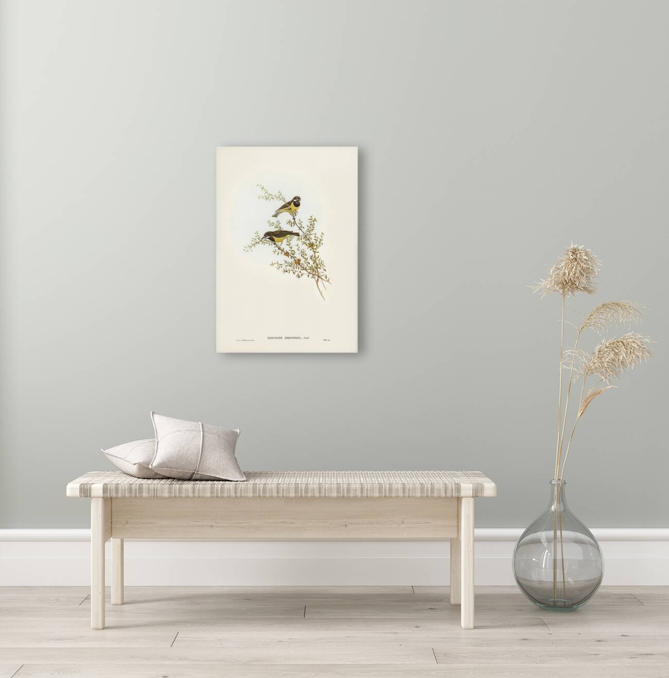 Masked Gerygone Gerygone personata illustrated by Elizabeth Gould 1804–1841 for John Gould’s 1804-1881 Birds of Australia  Reproduction