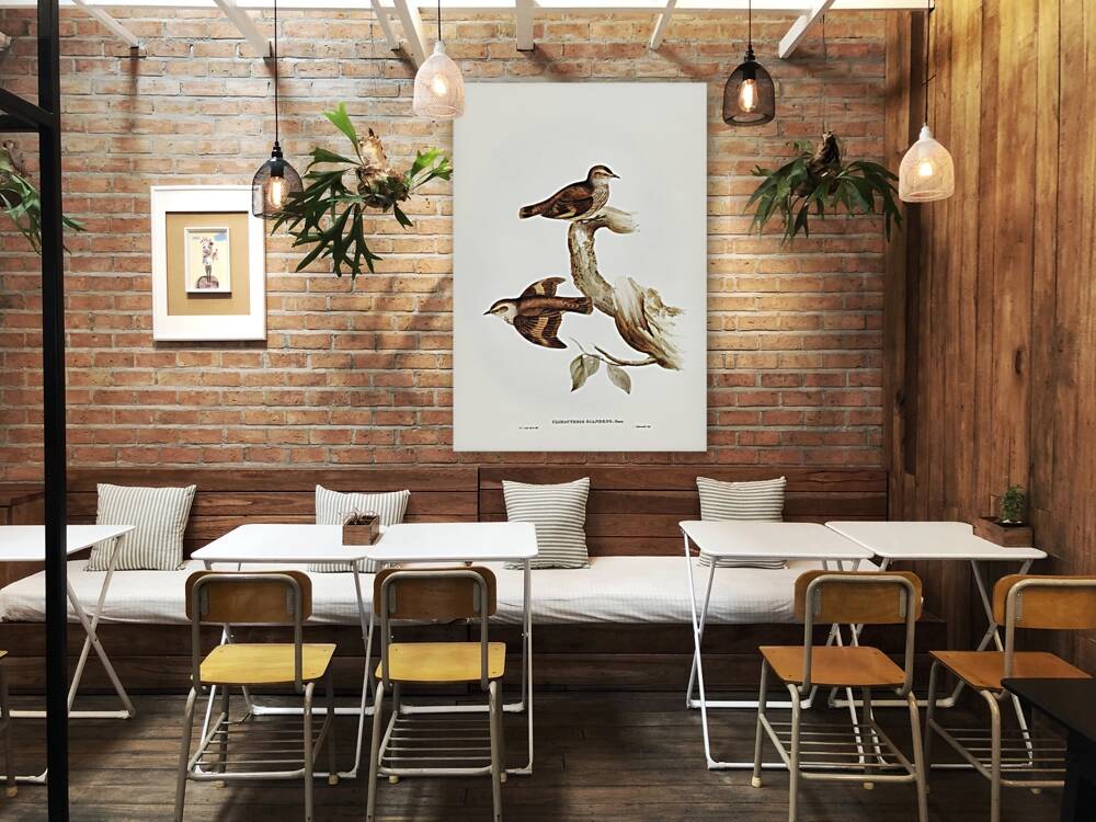 Brown Tree-Creeper Climacteris scandens illustrated by Elizabeth Gould 1804–1841 for John Gould’s 1804-1881 Birds of Australia  Reproduction