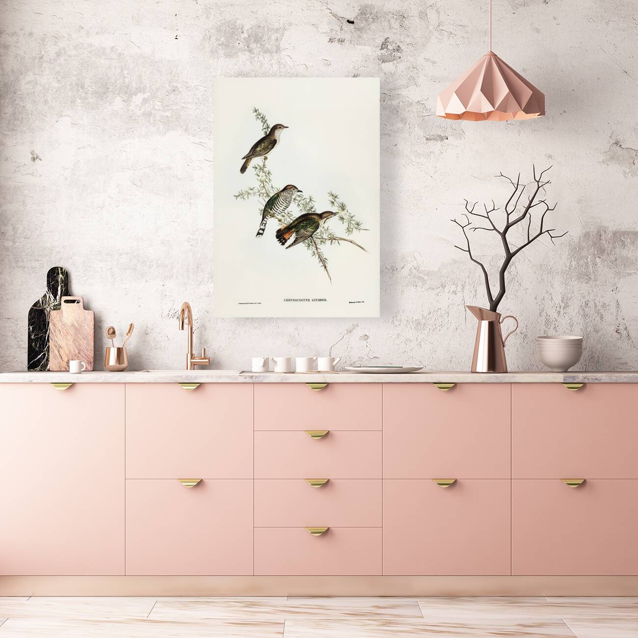 Shining Cuckoo Chrysococcyx lucidus illustrated by Elizabeth Gould 1804–1841 for John Gould’s 1804-1881 Birds of Australia  Reproduction