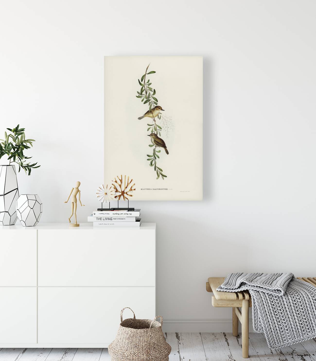 Large-billed Sericornis Sericornis magnirostris illustrated by Elizabeth Gould 1804–1841 for John Gould’s 1804-1881 Birds of Australia  Reproduction