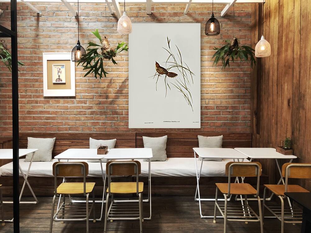 Large-billed Sericornis Sericornis magnirostris illustrated by Elizabeth Gould 1804–1841 for John Gould’s 1804-1881 Birds of Australia  Reproduction