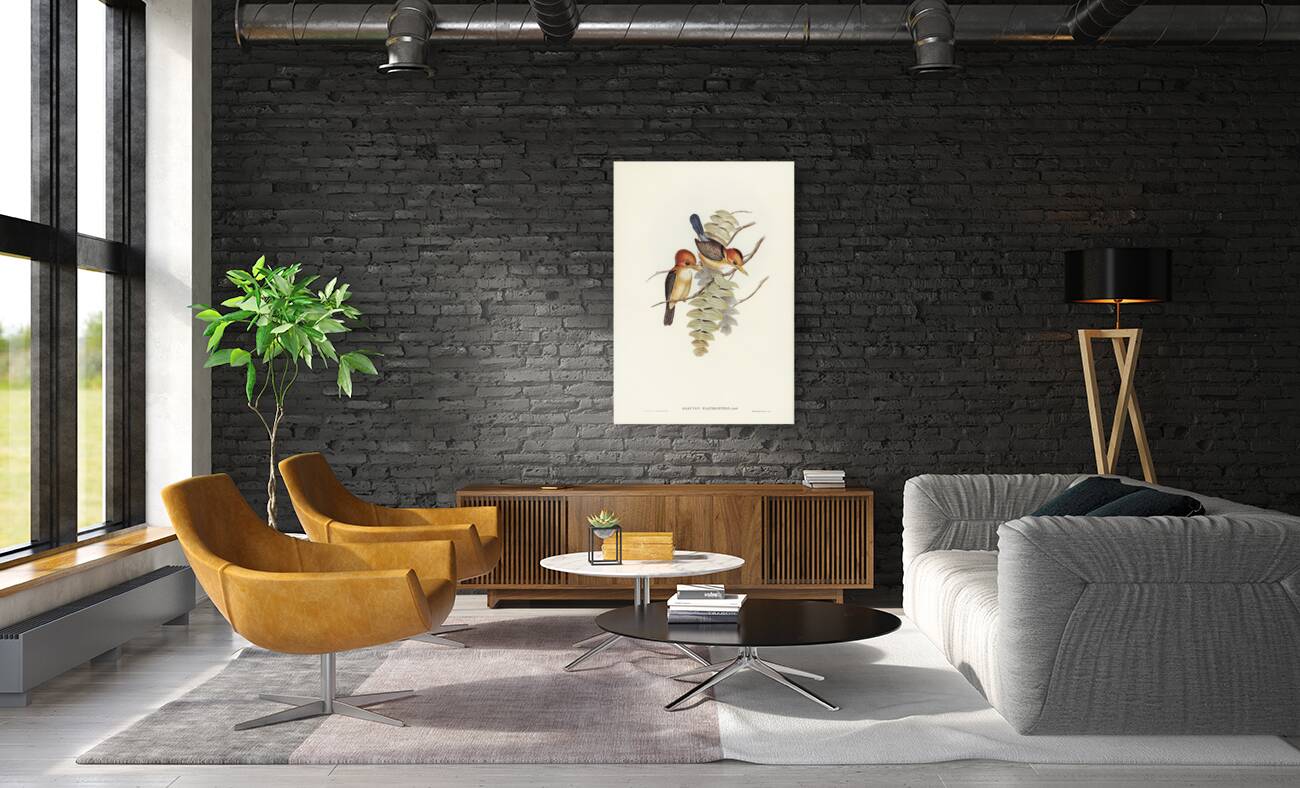 Yellow-billed Kingfisher Halcyon flavirostris illustrated by Elizabeth Gould 1804–1841 for John Gould’s 1804-1881 Birds of Australia  Reproduction