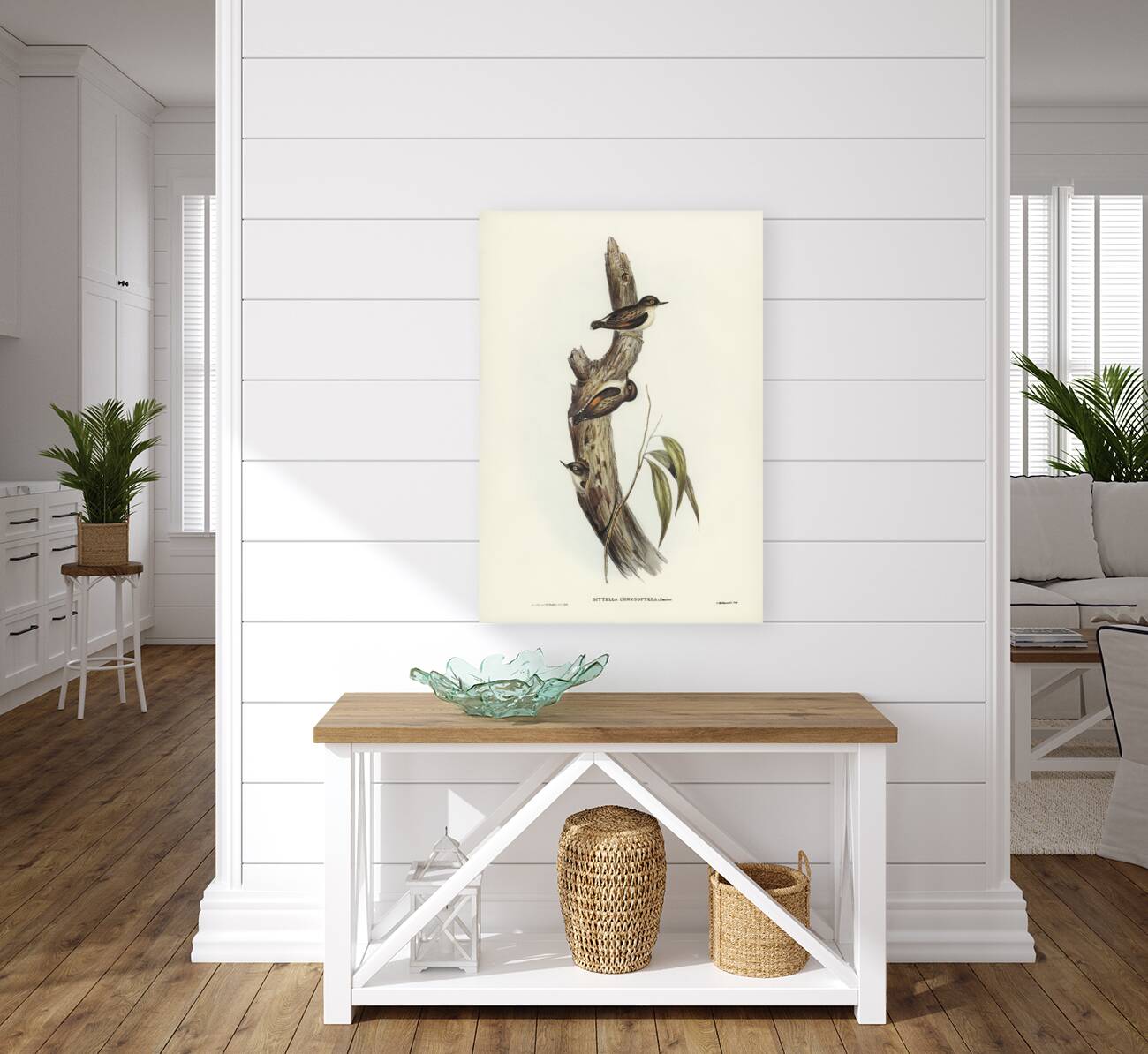 Orange-winged Sittella Sittella chrysoptera illustrated by Elizabeth Gould 1804–1841 for John Gould’s 1804-1881 Birds of Australia  Reproduction