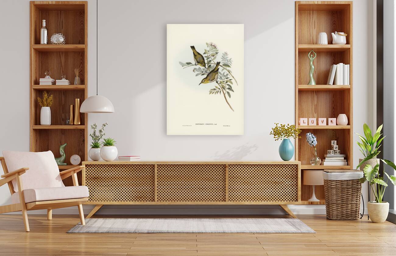 Robust Zosterops Zosterops strenuus illustrated by Elizabeth Gould 1804–1841 for John Gould’s 1804-1881 Birds of Australia  Reproduction