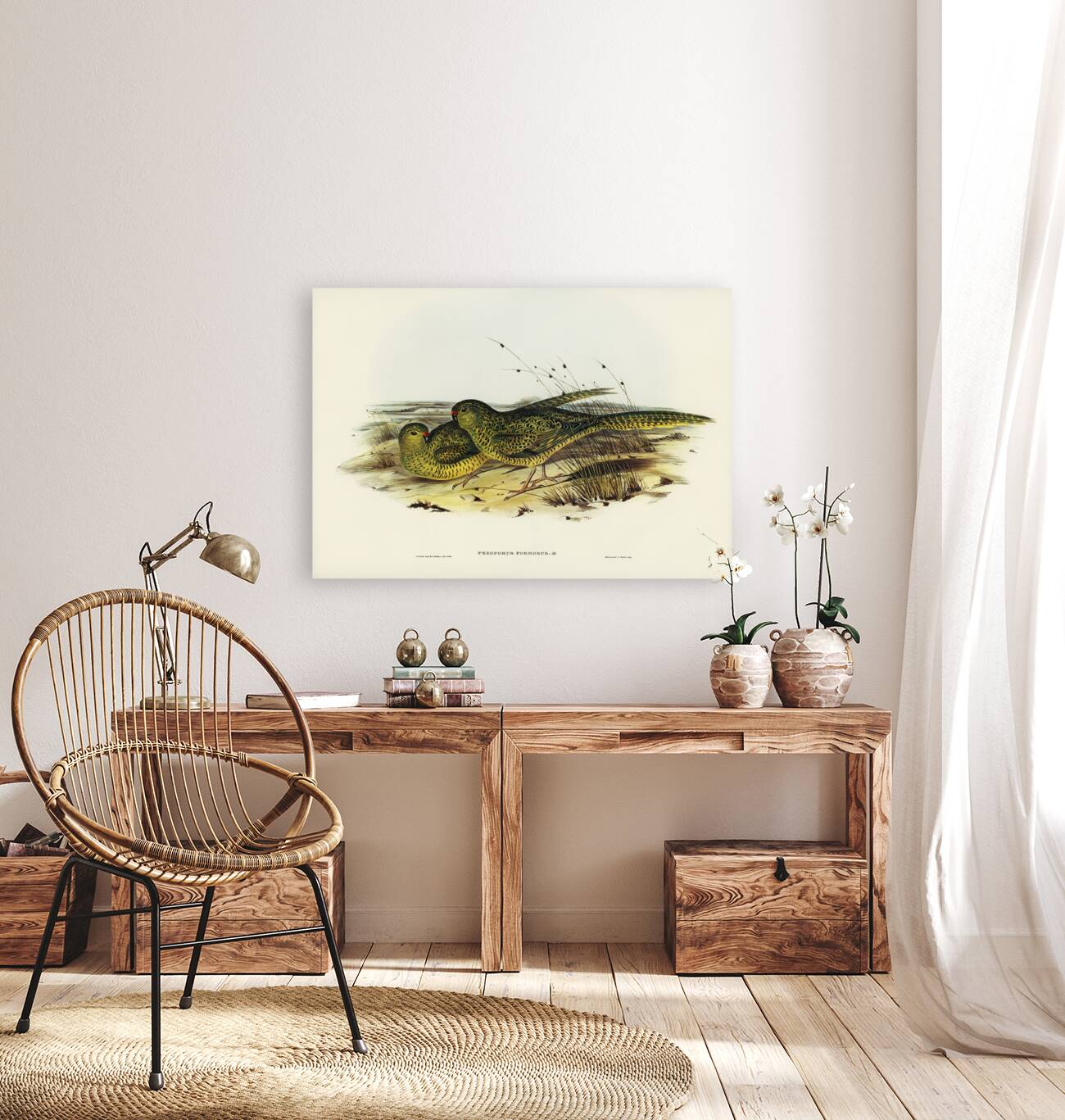 Ground Parakeet Pezoporus formosus illustrated by Elizabeth Gould 1804–1841 for John Gould’s 1804-1881 Birds of Australia  Reproduction