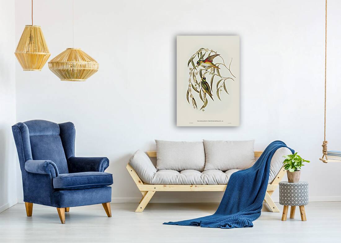 Little Whimbrel Numenius minutus illustrated by Elizabeth Gould 1804–1841 for John Gould’s 1804-1881 Birds of Australia  Reproduction