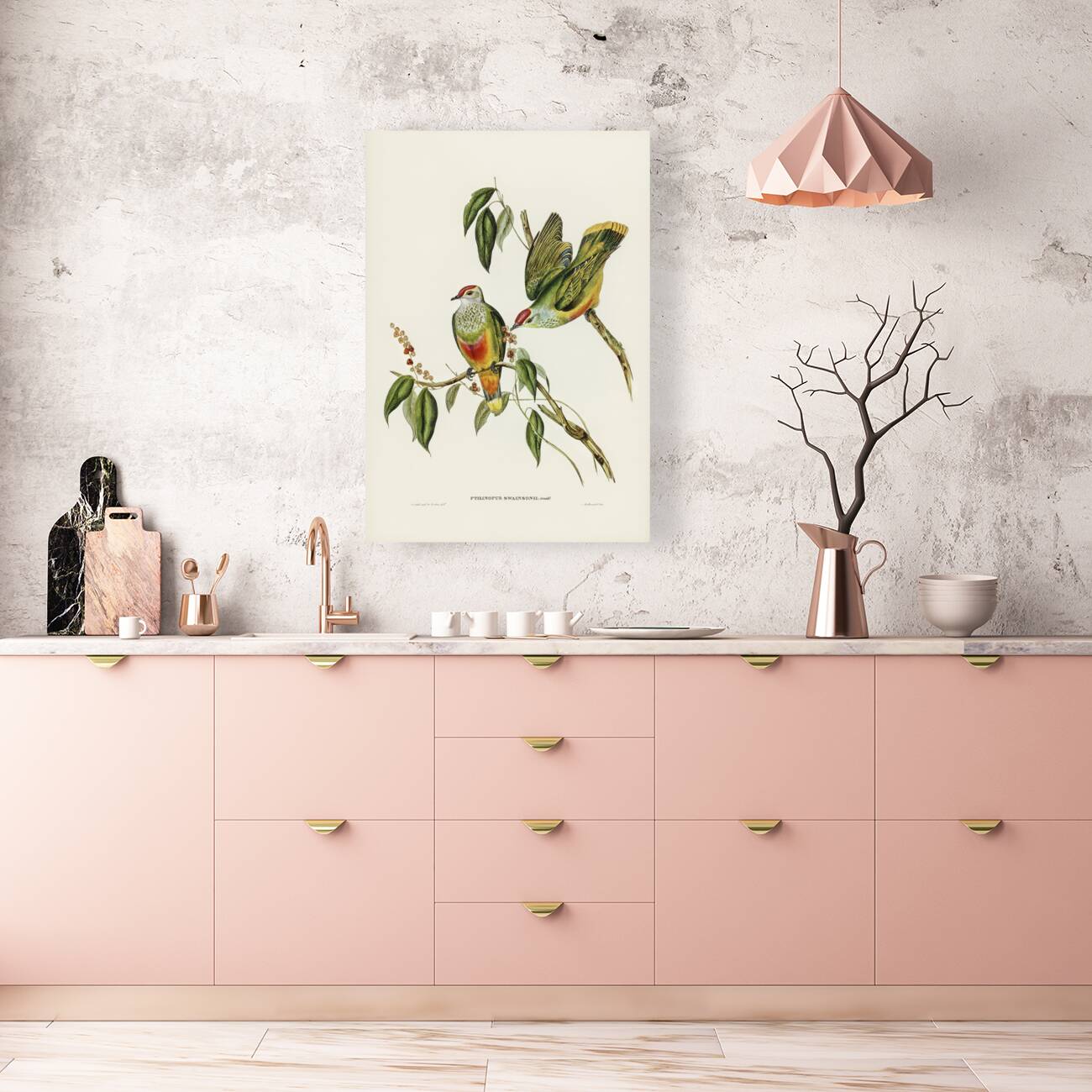 Swainsons Fruit Pigeon Ptilinopus Swainsonii illustrated by Elizabeth Gould 1804–1841 for John Gould’s 1804-1881 Birds of Australia  Reproduction