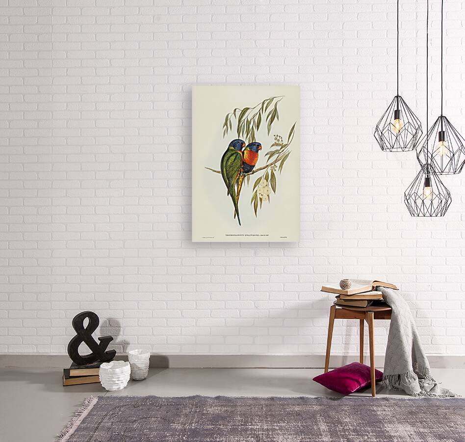 Australian Curlew Numenius Australis illustrated by Elizabeth Gould 1804–1841 for John Gould’s 1804-1881 Birds of Australia  Reproduction