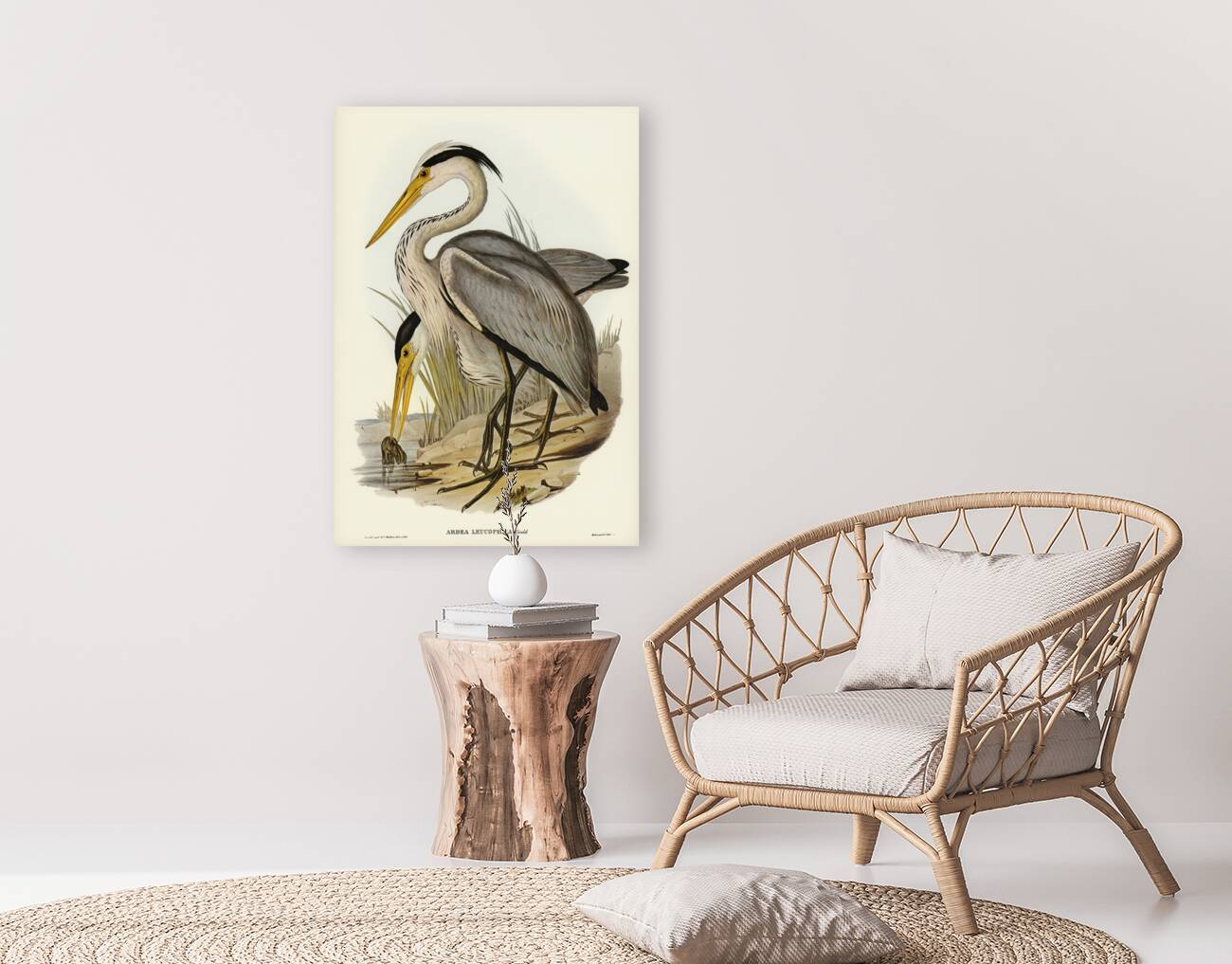 Great Grey Heron Ardea leucophaea illustrated by Elizabeth Gould 1804–1841 for John Gould’s 1804-1881 Birds of Australia  Reproduction