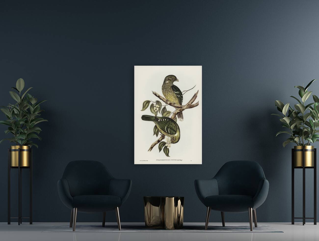 Cat Bird Ptilonorhynchus Smithii illustrated by Elizabeth Gould 1804–1841 for John Gould’s 1804-1881 Birds of Australia  Reproduction