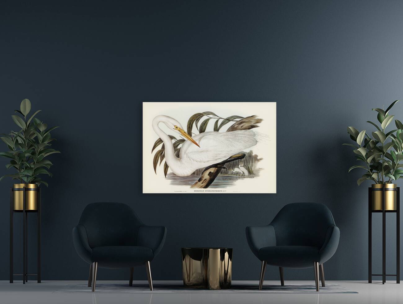 Australian Egret Hrodias syrmatophorus illustrated by Elizabeth Gould 1804–1841 for John Gould’s 1804-1881 Birds of Australia  Reproduction