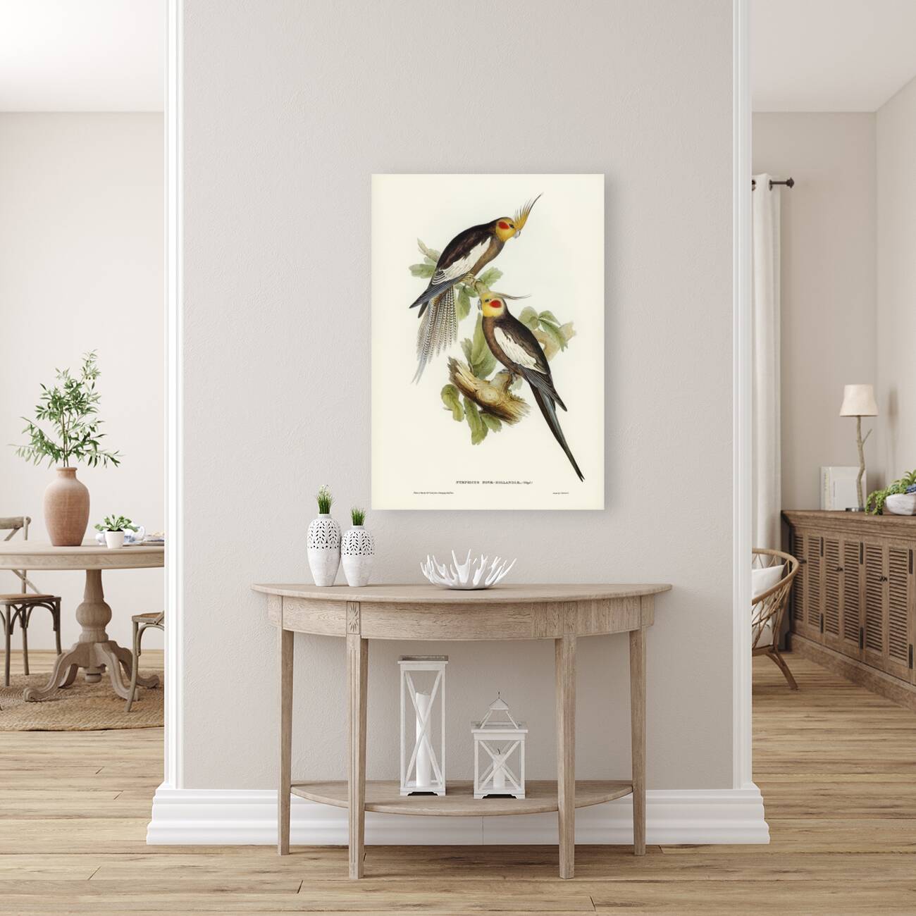 Cockatoo Parakeet Nymphicus Novae Hollandiae illustrated by Elizabeth Gould 1804–1841 for John Gould’s 1804-1881 Birds of Australia  Reproduction