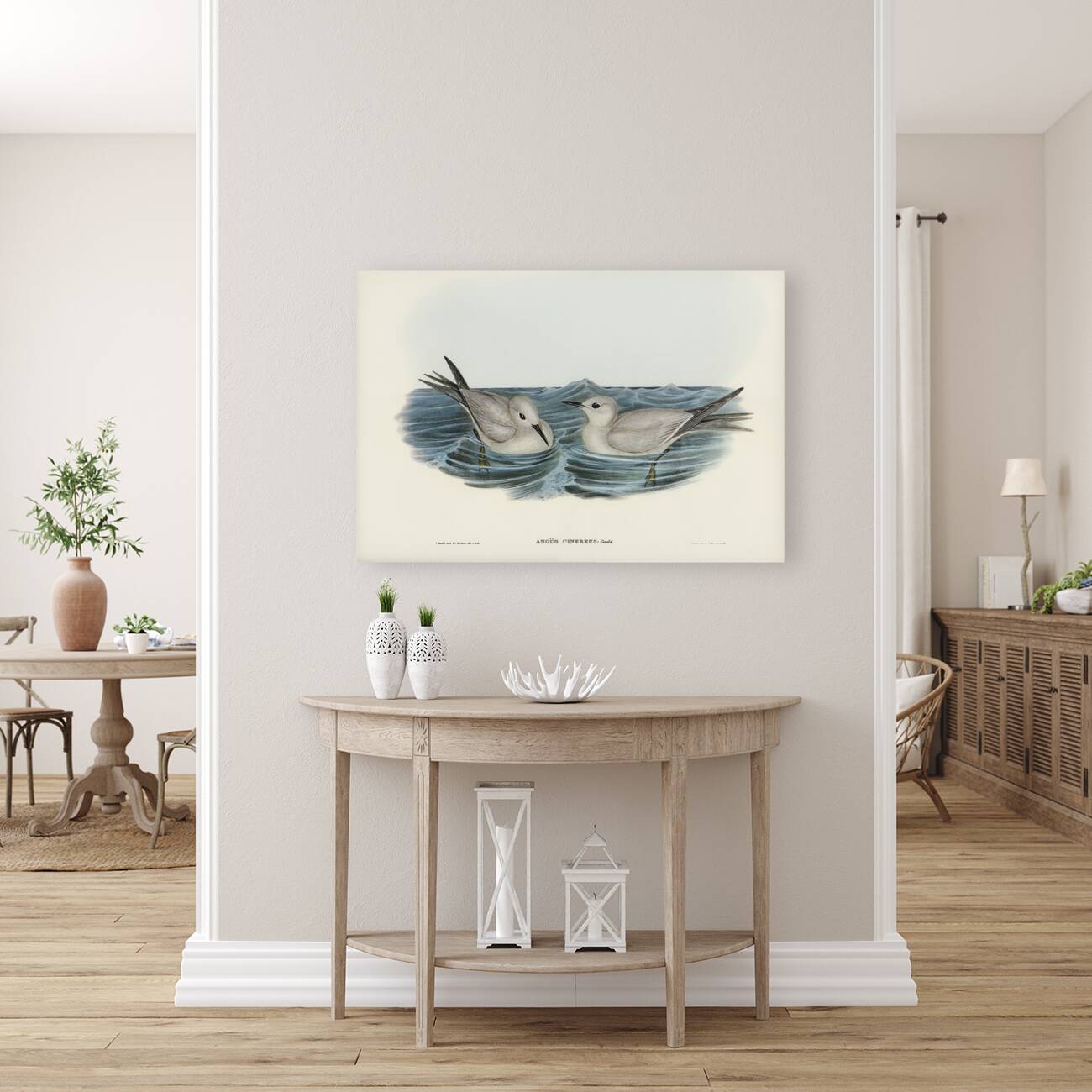 Grey Noddy Anous cinereus illustrated by Elizabeth Gould 1804–1841 for John Gould’s 1804-1881 Birds of Australia  Reproduction