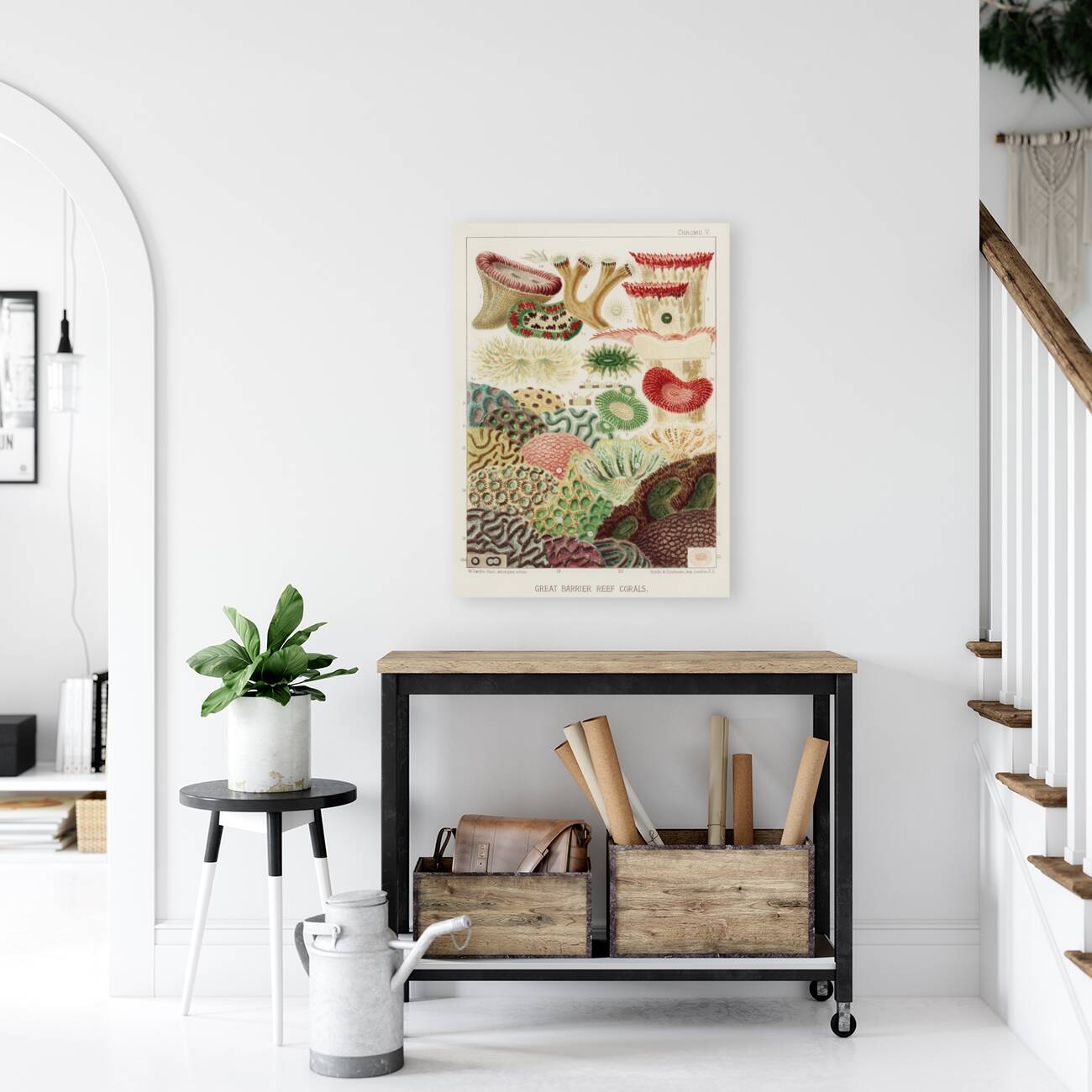 Great Barrier Reef Corals from The Great Barrier Reef of Australia 1893 by William Saville-Kent 1845-1908. Fig 1: Trachyphyllia amaraniusFig 2 : Caulastroea DistortaFig 3 : Mussa CorymbosaFig 4 : Mussa MultilobataFig 5 : PrionastroeaFig 6 : Favia Bo Reproduction