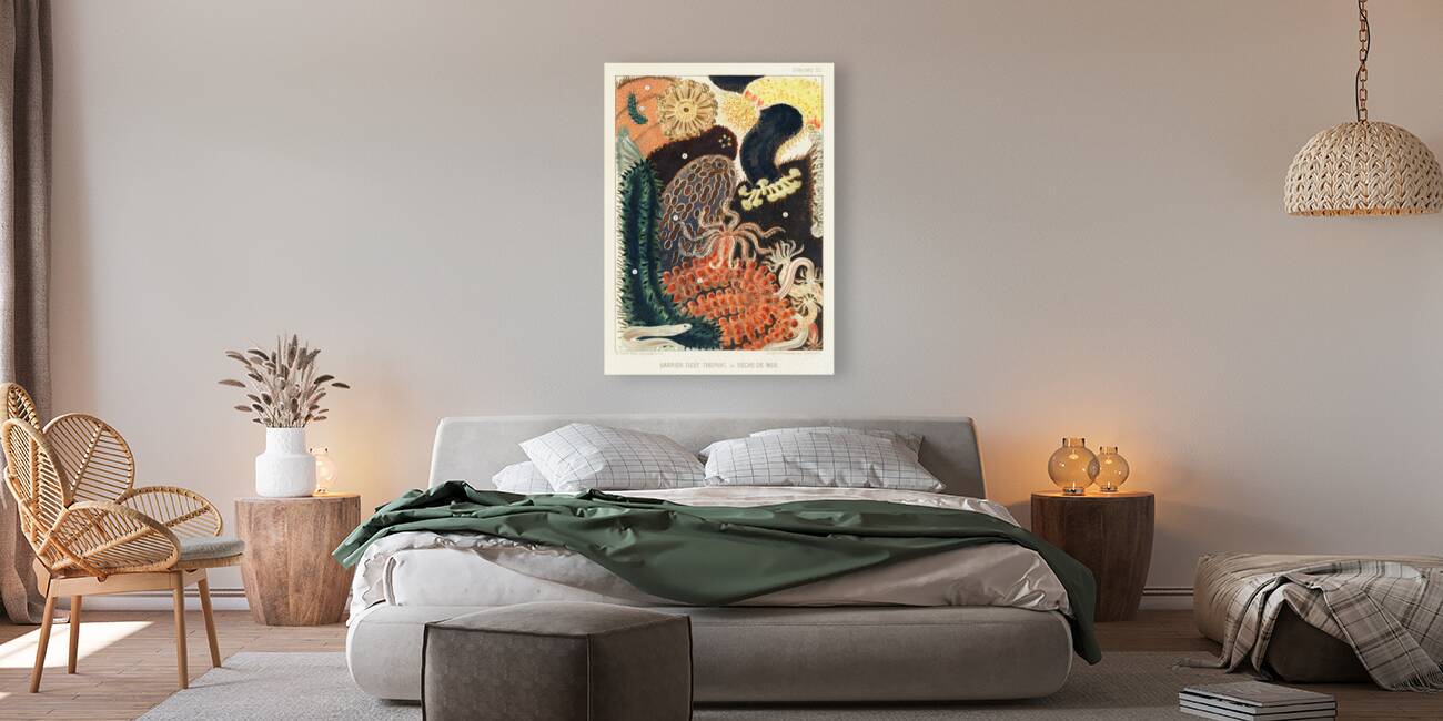 Barrier Reef Trepang or Bêche-de-Mer from The Great Barrier Reef of Australia 1893 by William Saville-Kent 1845-1908. Fig 1-2: Red fish Actinopyga obesaFig 3: Green Prickly-fish Stichopus ChloronotusFig 4: Colochirus AncepsFig 5: Holothurisa ColuberF Reproduction