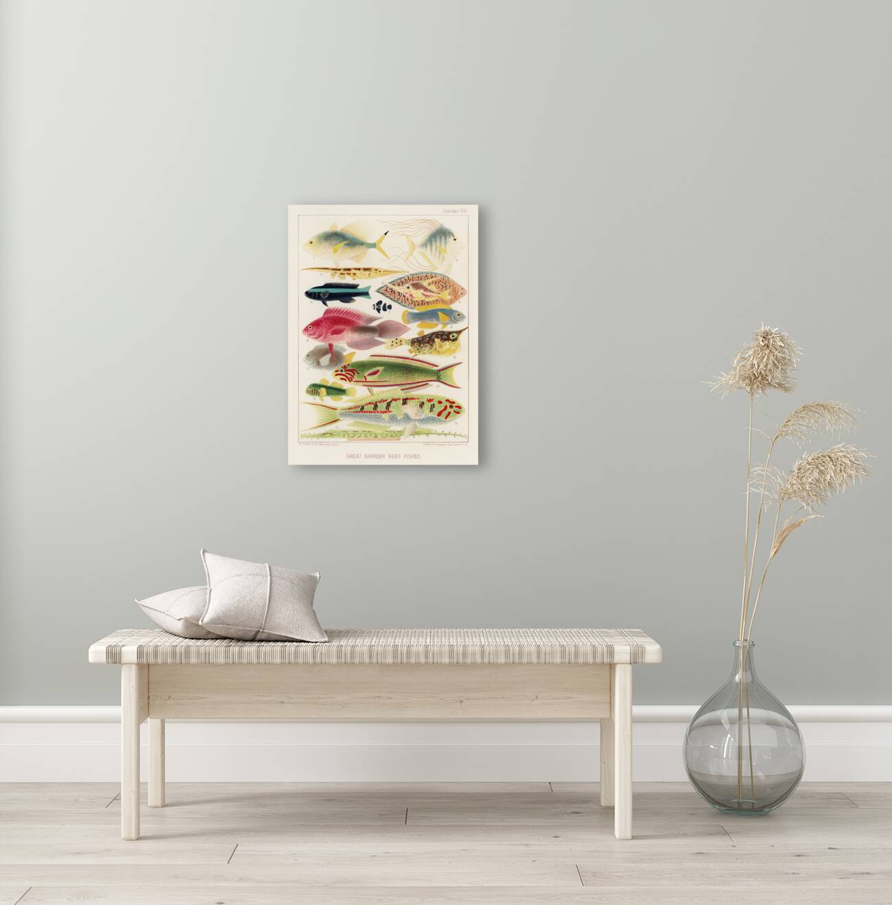 Great Barrier Reef Fishes from The Great Barrier Reef of Australia 1893 by William Saville-Kent 1845-1908. Fig 1: Fringe-finned Trevally Caranx ridiatus MacLeayFig 2: Dismond Trvally Caranx Gallus LinFig 3: Needle fish amphisile scuataFig 4: Blue band Reproduction