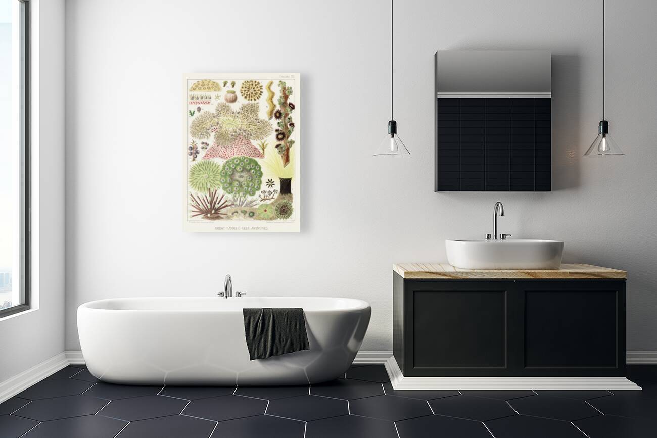 Great Barrier Reef Anemones from The Great Barrier Reef of Australia 1893 by William Saville-Kent 1845-1908. Fig 1 : Palythoa caesiaFig 2 : Rhodactis HowesiiFig 3 : Haterodactyla HemprichiiFig 4 : Acrozoanthus australioeFig 5 : phymanthus muscorumFi Reproduction