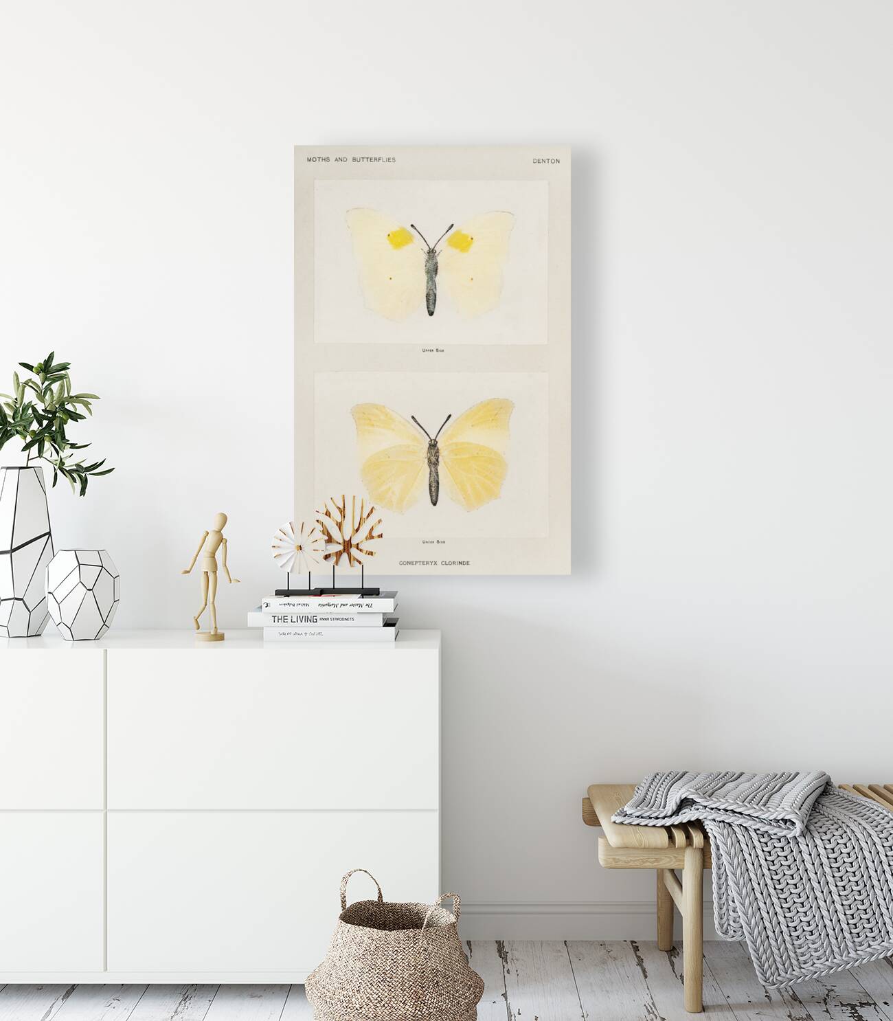 Aphrodite Fritillary Argynnis Aphrodite from Moths and butterflies of the United States 1900 by Sherman F. Denton 1856-1937.  Reproduction