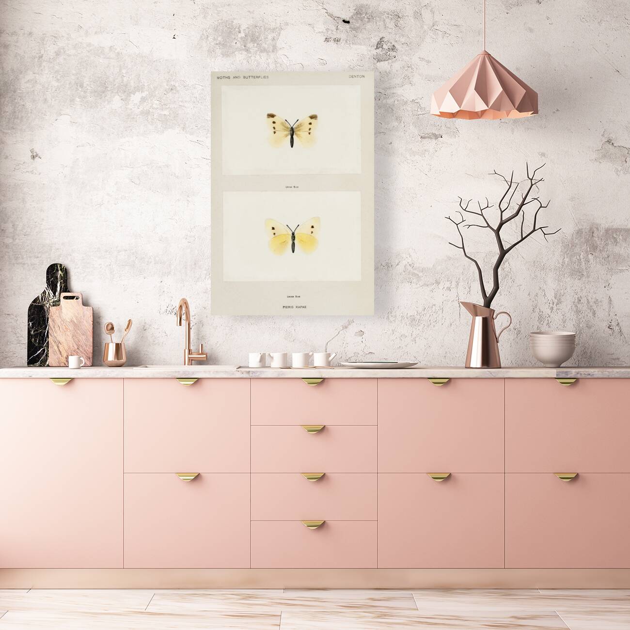 Small Cabbage White Pieris Rapae from Moths and butterflies of the United States 1900 by Sherman F. Denton 1856-1937.  Reproduction