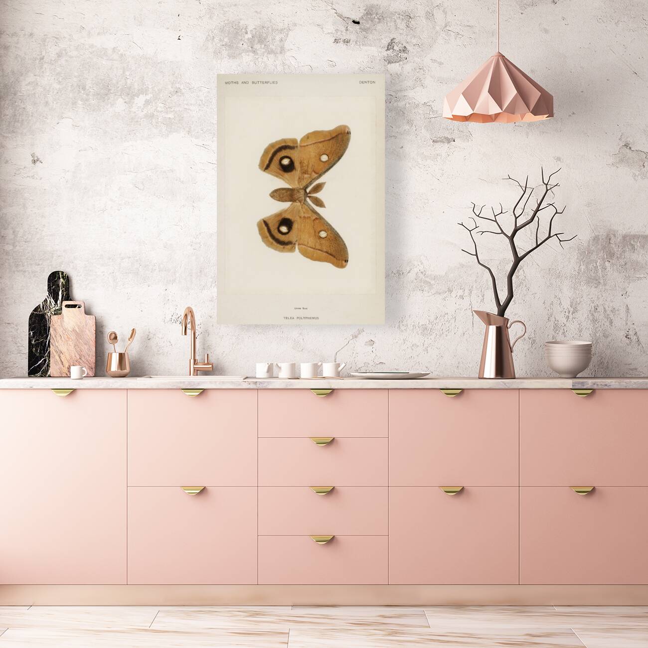 Polyphemus Moth Telea Polyphemus from Moths and Butterflies of the United States 1900 by Sherman F. Denton 1856-1937.  Reproduction