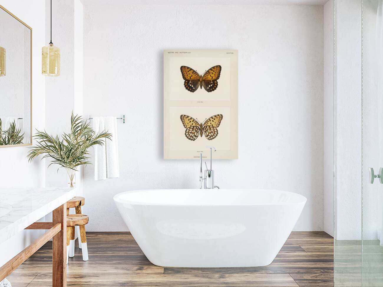 Regal Fritillary Argynnis Idalia from Moths and butterflies of the United States 1900 by Sherman F. Denton 1856-1937.  Reproduction