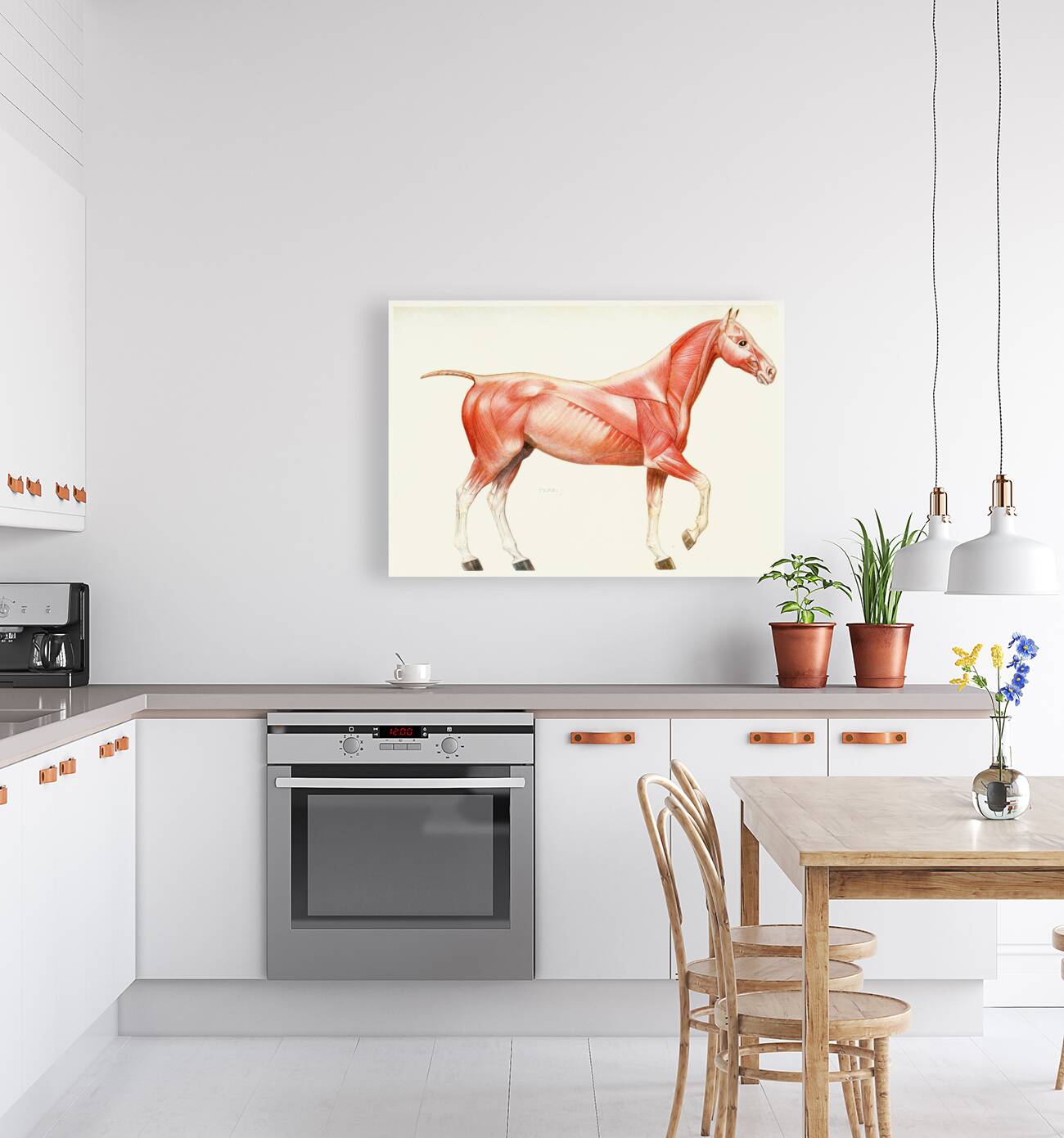 The Muscular System of the Horse Amedeo John Engel Terzi Italian 1872-1956 Reproduction