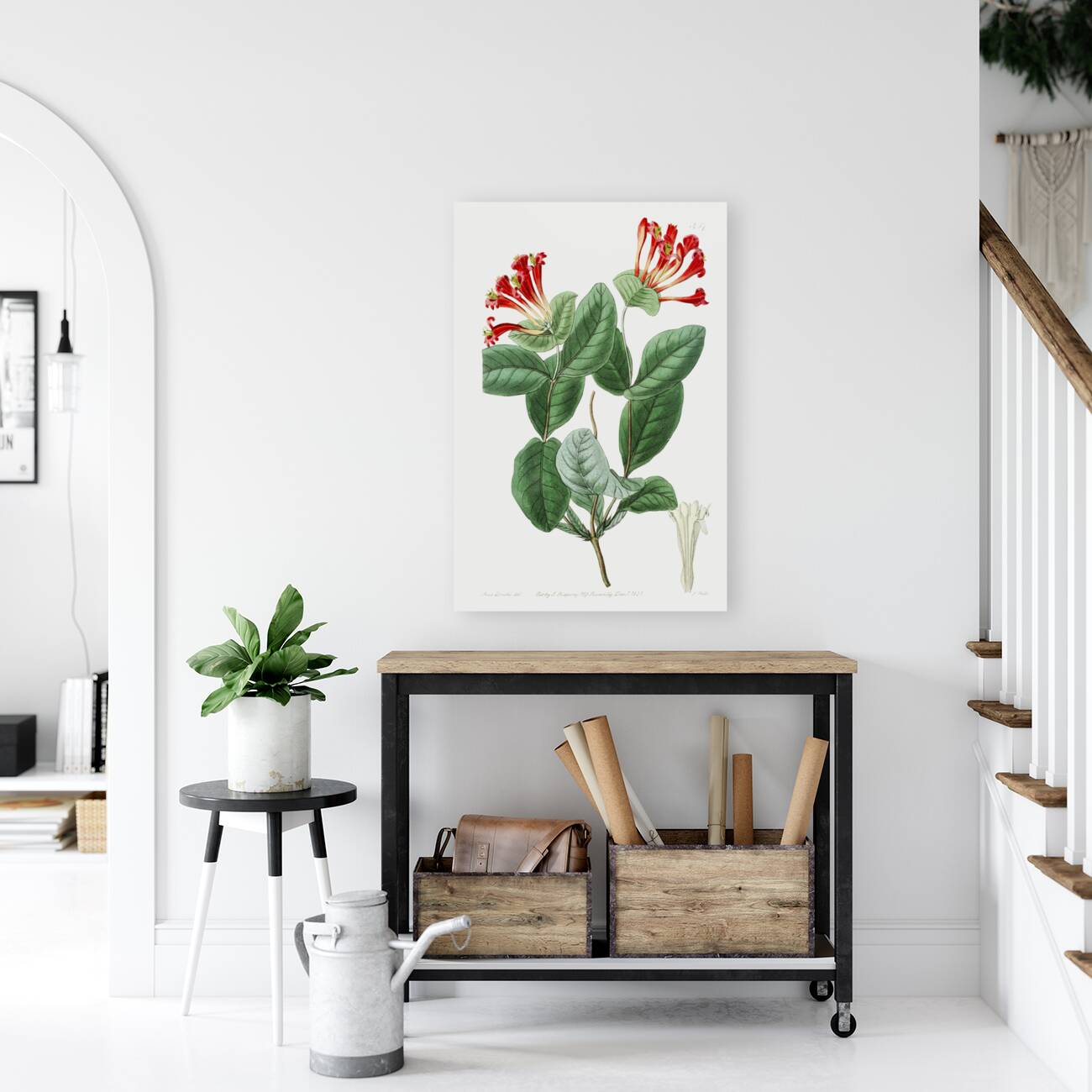 The north-west honeysuckle from Edwards Botanical Register 1829-1847  by Sydenham Edwards John Lindley and James Ridgway. Reproduction