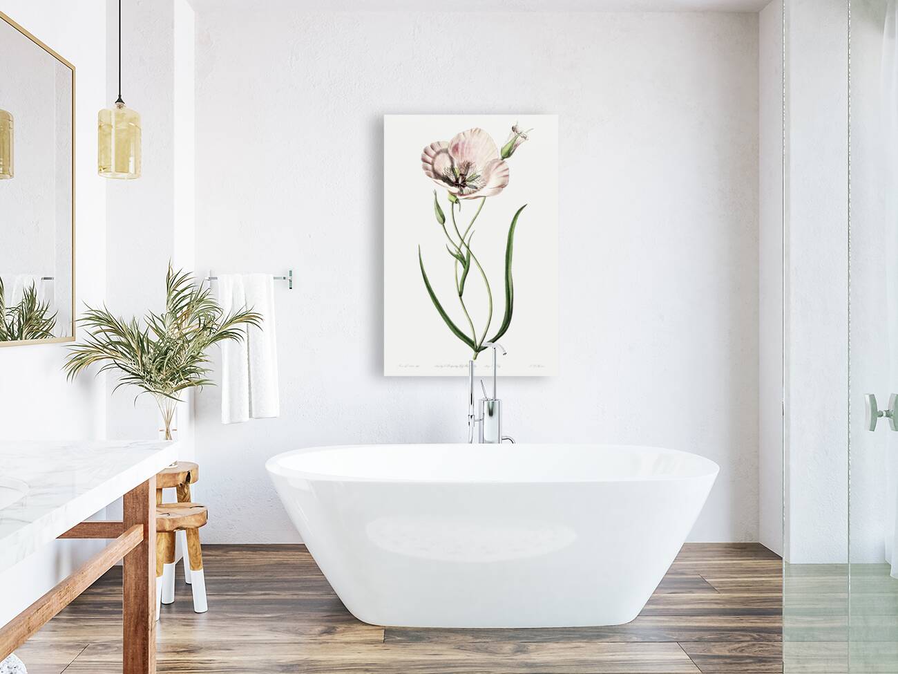 atiny calochortus from Edwards Botanical Register 1829-1847  by Sydenham Edwards John Lindley and James Ridgway. Reproduction