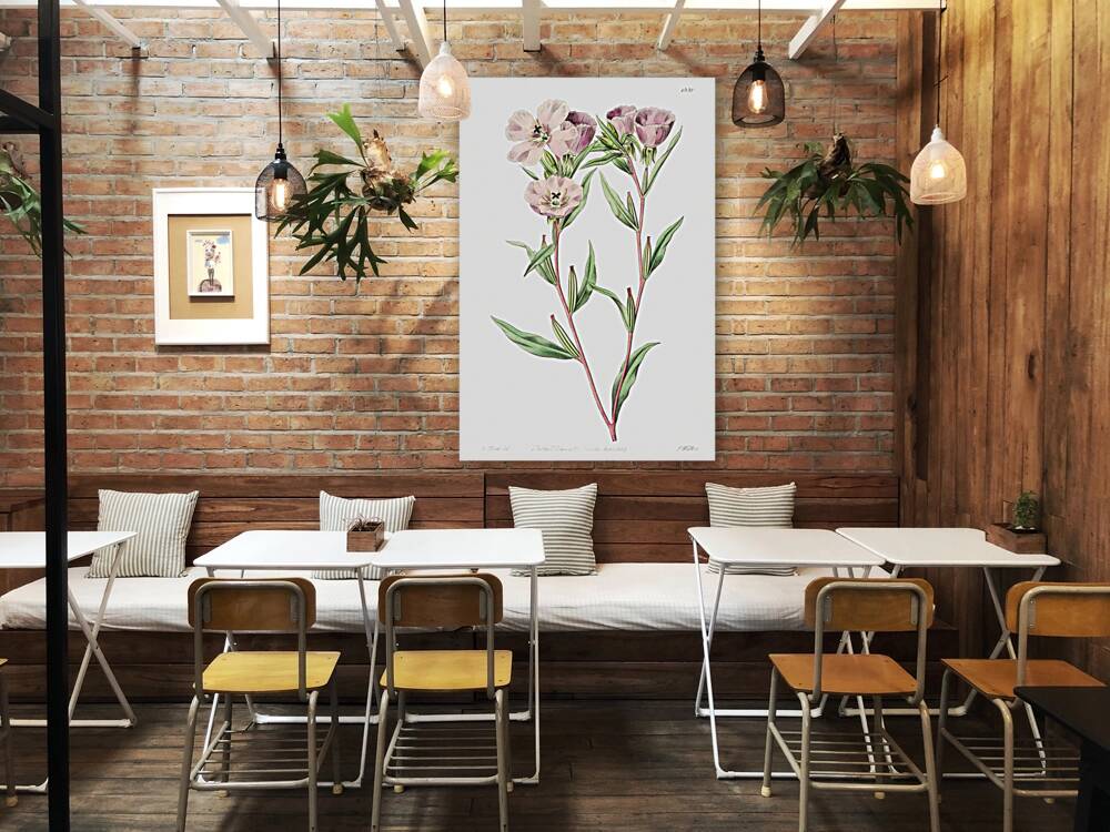 Pale Corona Amaryllis from Edwards Botanical Register 1829-1847  by Sydenham Edwards John Lindley and James Ridgway. Reproduction