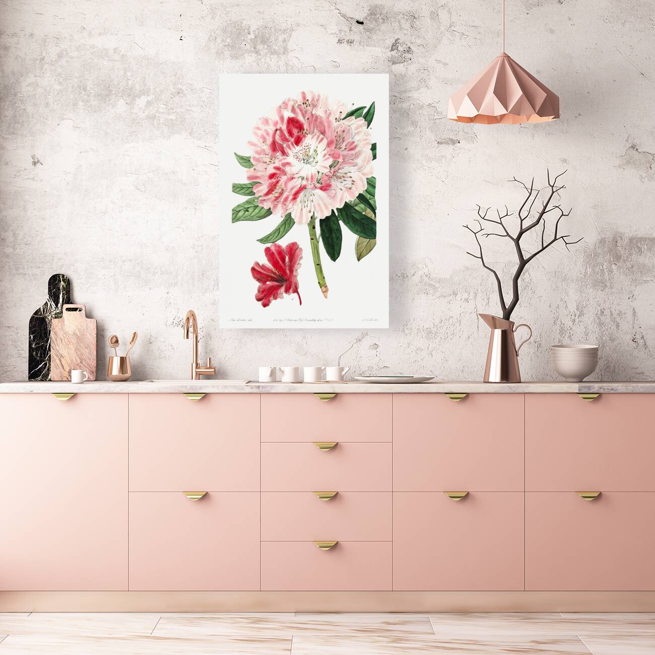 The lovely rhododendron from Edwards Botanical Register 1829-1847  by Sydenham Edwards John Lindley and James Ridgway. Reproduction