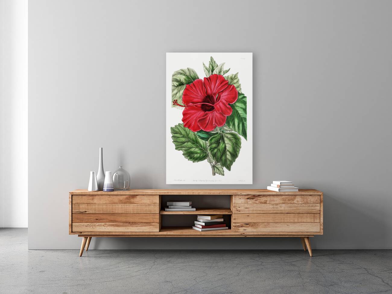 Single-flowered Chinese rose mallow from Edwards Botanical Register 1829-1847  by Sydenham Edwards John Lindley and James Ridgway. Reproduction